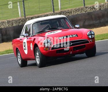 Neil Merry, Sunbeam Tiger, HSCC Historic Road Sports Championship, Production Sports and GT Cars, 1947 bis 1969, HSCC Legends of Brands Hatch Super Pri Stockfoto