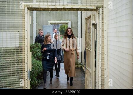 Die Duchess of Cambridge mit Gefängnis-Gouverneurin Carlene Dixon bei einem Besuch von HMP Send in der Nähe von Woking in Surrey. PA Foto. Bilddatum: Mittwoch, 22. Januar 2020. Die Herzogin nahm an einer 24-stündigen Tour durch das Land Teil, um "5 große Fragen zu den unter 5-Jährigen" zu stellen, eine Umfrage, die das bisher größte Gespräch über die frühe Kindheit entfachen soll, um positive, dauerhafte Veränderungen für kommende Generationen herbeizuführen. Siehe PA Story ROYAL Cambridge. Der Lichtbildkredit sollte lauten: Dominic Lipinski/PA Wire Stockfoto