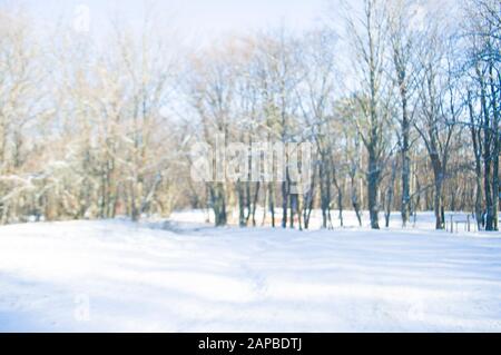 Verschwommener Winterhintergrund. Wunderschöner verschneiten Winterwald. Stockfoto