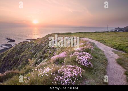 Sonnenuntergang vom Hartland Quay Devon Uk Stockfoto