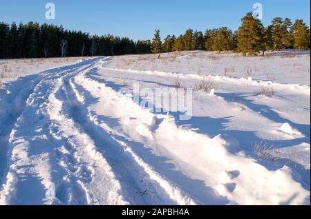 Verschneite Straße in einem Feld, das zum Kiefernwald führt. Winterstraße ins Nirgendwo an sonnigen Tagen, schneebedeckte frische Autorasse. Auto zeichnet in einem tiefen Schnee von abgelegenen r nach Stockfoto