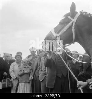 Besuch Ihrer Majestät und Beatrix bei Markelo Beschreibung: Interesse am preisgekrönten Pferd Datum: 29. August 1957 Ort: Markelo Schlüsselwörter: Königliche Besuche Stockfoto