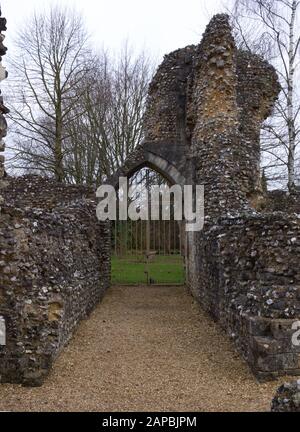 Wolvesley Castle, Winchester, Hampshire, England. Beeindruckende Ruinen Des Alten Bischofspalasts aus dem 12. Jahrhundert, einschließlich der ursprünglichen Ruinen der Pflaumanlage Stockfoto