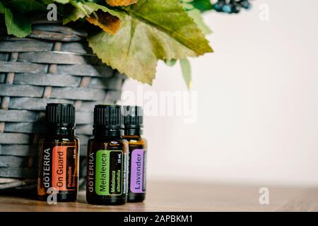 Banska Bystrica, Slowakei - 6. Oktober 2019: Hochwertige ätherische Öle der Marke Doterra. Auf Wache, Melaleuca und Lavender ätherisches Öl. Gesundheitswesen Stockfoto