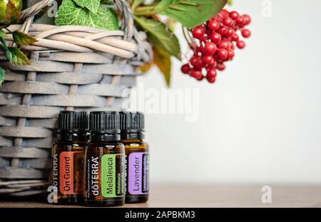 Banska Bystrica, Slowakei - 6. Oktober 2019: Hochwertige ätherische Öle der Marke Doterra. Auf Wache, Melaleuca und Lavender ätherisches Öl. Gesundheitswesen Stockfoto