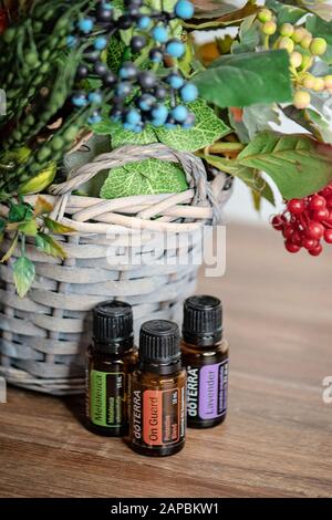 Banska Bystrica, Slowakei - 6. Oktober 2019: Hochwertige ätherische Öle der Marke Doterra. Auf Wache, Melaleuca und Lavender ätherisches Öl. Gesundheitswesen Stockfoto