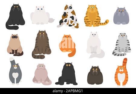 Katzen-Poster. Cartoon CAT Characters Kollektion. Verschiedene Katzen-Posen und Emotionen setzen. Flaches, einfaches Design. Vektorgrafiken Stock Vektor