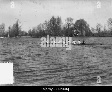 Ruderin der Damen von Amstel ca. 4 km Datum: 25. april 1954 Ort: Amstel, Noord-Holland Schlagwörter: Damen, Champion, Rudern persönlicher Name: Amstel Stockfoto