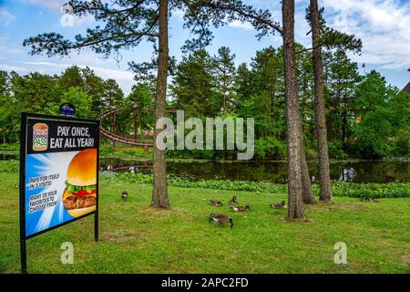 Schöne Aussicht vom berühmten Vergnügungspark Six Flags Great Adventure in Jackson, New Jersey im Juni 2016 Stockfoto