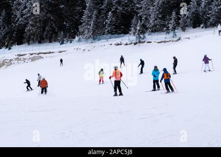 Ilgaz/Türkei- 19. Januar 2020: Glückliche Frau im Winter mit Ski-Googles auf einem Ski-Trip mit Haltestangen Stockfoto