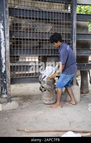 Ein Tierarzt, der einen künstlichen prothetischen Fuß auf einem Elefanten installiert, der von einer Landmine im PTWRC Wildilfe Rebhabilation Center in der Nähe von Phnom Penh verletzt wurde Stockfoto