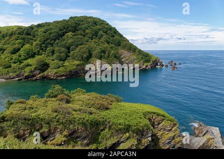 Beacon Point und Hele Bay in der Nähe von Ilfracombe, North Devon Coast, Großbritannien Stockfoto