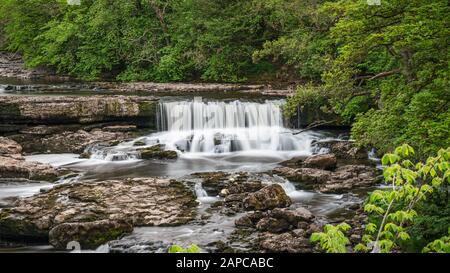 Blick auf die Aysgarth Falls und den Fluss Ure von der Yore Bridge, North Yorkshire, England, Großbritannien Stockfoto