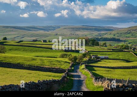 Landstraße im oberen Wensleydale bei Gayle, North Yorkshire, England, Großbritannien Stockfoto