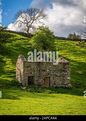 Eine alte Steinscheune in den Yorkshire Dales in der Nähe von Gayle, North Yorkshire, England, Großbritannien Stockfoto