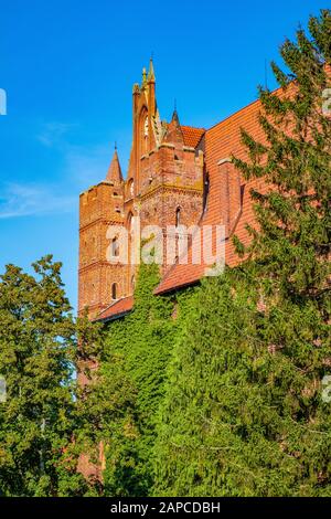 Malbork, Pomerania/Poland - 2019/08/24: Monumentale gotische Verteidigungsarchitektur des Hochschlosses der mittelalterlichen Burg des Deutschen Orden in Der Malb Stockfoto