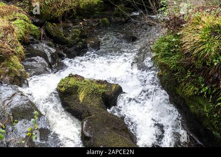 Wasserfall im Rouken Glen Park in Thornliebank, East Renfrewshire bei Glasgow Stockfoto