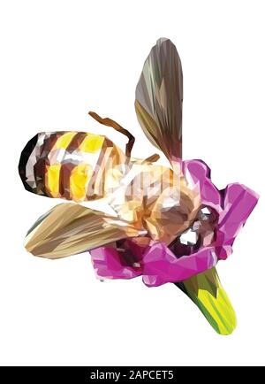 Niedrige poly Abbildung einer Biene innerhalb einer Blume isoliert Stockfoto