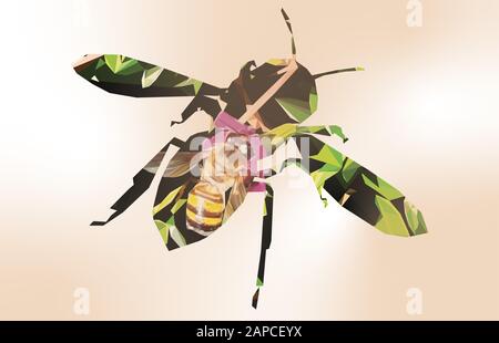 Niedrige Poly Illustration einer Biene im Inneren einer Biene mit orangefarbenem Hintergrund Stockfoto