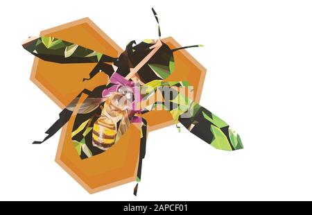 Niedrige Poly Illustration einer Biene im Inneren einer Biene auf einer Wabe Stockfoto