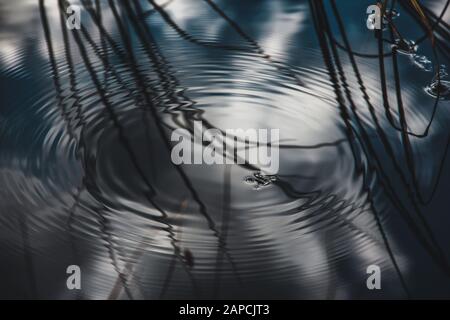 Wasserstreifer mit Wellen und reflektiertem Himmel Stockfoto