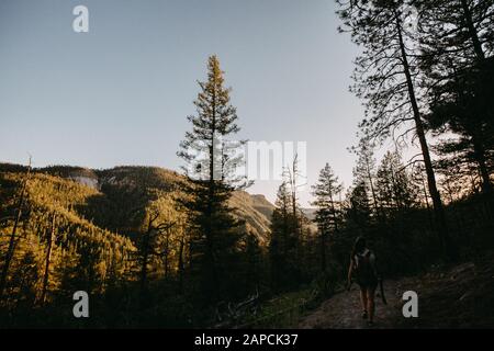 Wanderung bei Sonnenuntergang in den Jemez Mountains in Jemez Springs, New Mexico Stockfoto