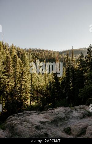 Wanderung bei Sonnenuntergang in den Jemez Mountains in Jemez Springs, New Mexico. Stockfoto