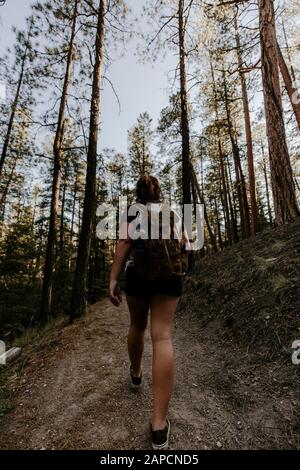 Wanderung bei Sonnenuntergang in den Jemez Mountains in Jemez Springs, New Mexico. Stockfoto