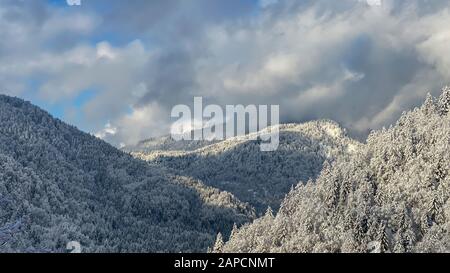 Panoramablick auf die Winterlandschaft in den Bergen Stockfoto