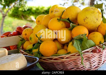 Frische Bio-Zitronen aus italien Stockfoto