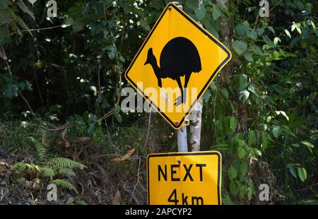 Straßenschilder, die auf das seltene Wildgebiet Southern Cassowary in der Wildnis von Queensland, Australien hinweisen. Stockfoto