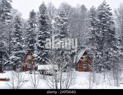 Gemütliche Häuser in einem verschneiten Wald unter den Bäumen. Rustikale Holzhäuser. Russland. Stockfoto