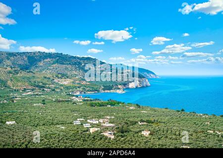 Mattinata, Gargano-Felsküste und Olivenbäume, Apulien, Süditalien, Europa. Stockfoto