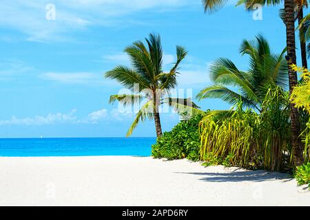 Panoramablick auf einen schönen sonnigen Tag am Strand auf den Malediven. Tropisches Reisekonzept. Stockfoto