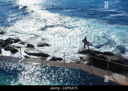 Ein Surfer bereitet sich darauf vor, am Bronte Ocean Pool von den Felsen ins Meer zu springen, wobei das Morgenlicht auf dem Wasser leuchtet Stockfoto