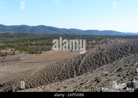 Boden durch Tierspuren, Flinders Ranges, South Australia, Australien erodiert Stockfoto