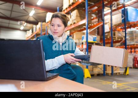 Manager Scanning Box bei der Eingabe auf Laptop im Lager Stockfoto
