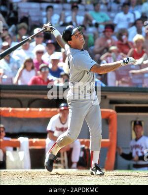 Marty Barrett, 1987, Major League Baseball, MLB, Second Baseman, spielte für die Boston Red Sox & San Diego Padres Stockfoto