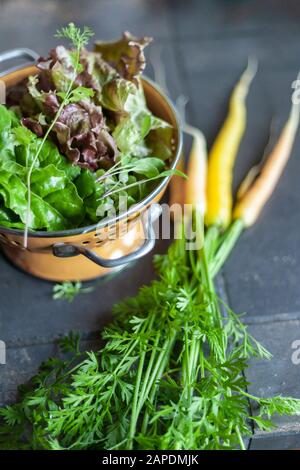 Salat, Grüns und Regenbogenkarotten wurden frisch aus dem Garten gepflückt, anschließend gewaschen und in einem Orangenkolander belastet. Stockfoto