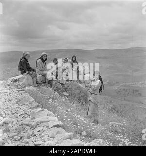 Israel 1948-1949: Galiläa Beschreibung: Arabische Frauen und Mädchen am Hang des Taborbergs in Galiläa Datum: 1948 Ort: Galiläa, Israel Schlüsselwörter: Berge, Frauen Stockfoto