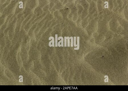 Nahaufnahme von Sand am Strand unter der Sonne - Ein schönes Bild für Tapeten und Hintergründe Stockfoto