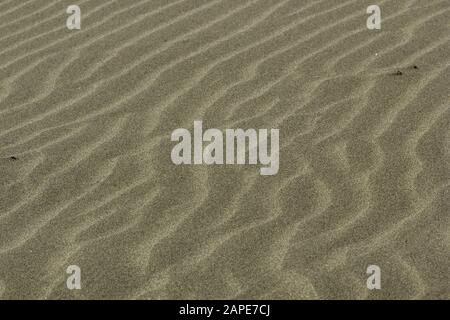 Nahaufnahme von Sand am Strand unter der Sonne - Ein schönes Bild für Tapeten und Hintergründe Stockfoto