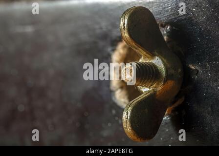 Nahaufnahme eines daran befestigten Goldmetalls Ein Stück dunkles Holz Stockfoto