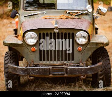 Der Grill eines Willys Jeep Trucks aus dem Jahr 1948 in einem Waldgebiet in der Nähe Von Noxon, Montana. Dieses Bild wurde mit einer antiken, unbeschichteten Petzval-Linse aufgenommen und kann zeigen Stockfoto