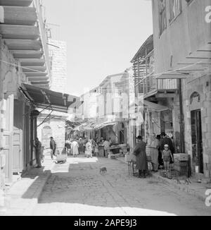 Israel 1964-1965: Jerusalem (Jerusalem), Mea Shearim Beschreibung: Geschäft auf dem Markt, im Vordergrund zwei Straßenkatzen Anmerkung: MEA Shearim, auch Meah Shearim oder hundert Tore genannt, ist einer der ältesten Stadtviertel Jerusalems. Sie wurde ab etwa 1870 von hasidischen Juden erbaut, die bis dahin in der Altstadt lebten. Es war jedoch zu wenig Platz und so kauften sie ein Stück Land nordwestlich der Stadt. Dieses Land, ein Sumpfgebiet, wurde zu Land kultiviert, um ein neues Stadtviertel zu errichten: Meah Shearim. Der Bezirk ist anno 2012 als das extremste orthodoxe jüdische Viertel der Welt bekannt Stockfoto