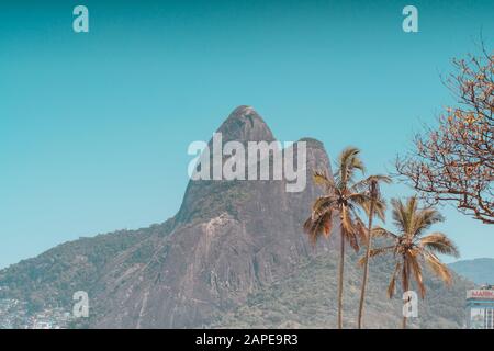 Rio DE JANEIRO, BRASILIEN - 20. Januar 2020: Detailschuss von Palmen in Ipanema Rio de Janeiro. Stockfoto