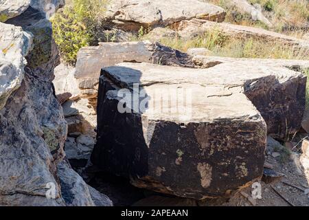 Schöne Landschaft des Zeitungsrock, Petrified Forest National Park in Arizona Stockfoto