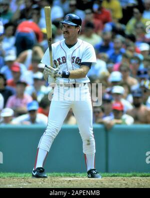 Wade Boggs, 1987 Boston Red Sox Third Baseman Major League Baseball MLB, spielte auch für Cincinnati Reds, Baltimore Oriels, New York Yankees Stockfoto
