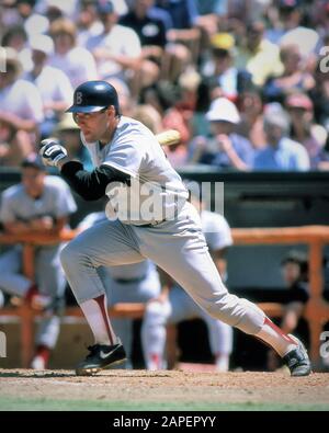 Rich Gedman, MLB-Baseballtrainer und ehemaliger Catcher, spielte in Der Major League Baseball für die Boston Red Sox, Houston Astros und St. Louis Cardinals Stockfoto