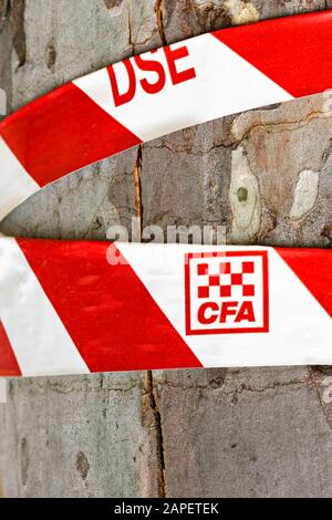 Lexton Australien / Nachwirkungen von Buschbränden in Lexton Victoria Australien. Stockfoto